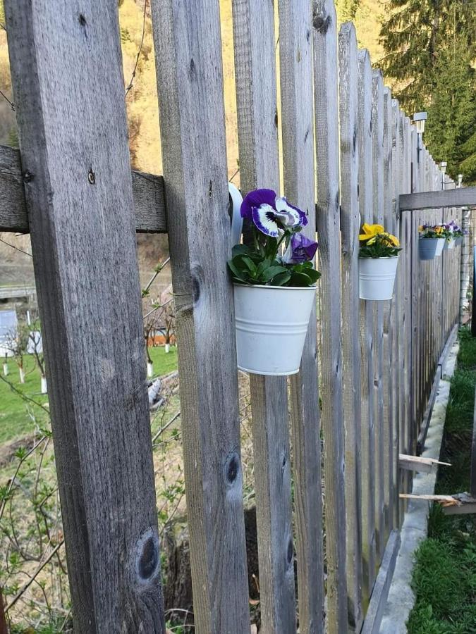 Cabana Valea Sadului Rau Sadului Exterior foto