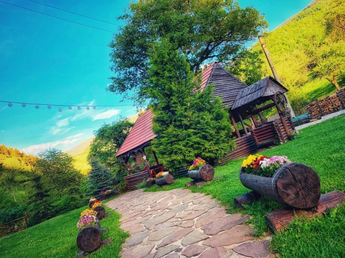 Cabana Valea Sadului Rau Sadului Exterior foto