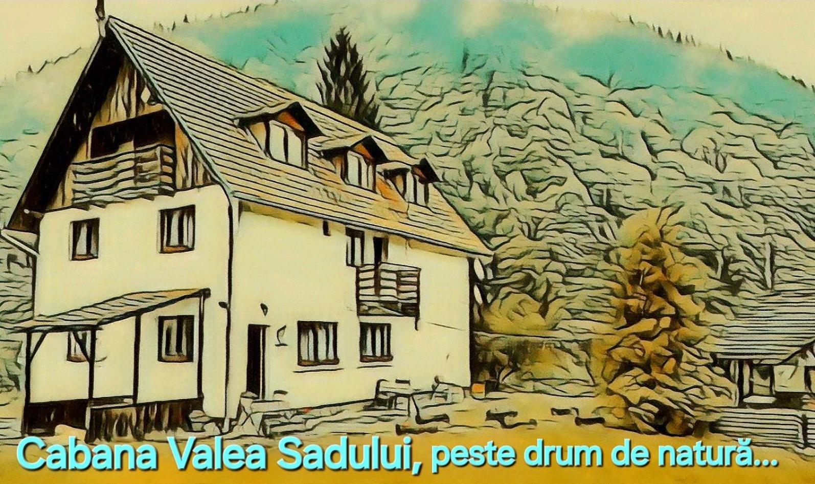 Cabana Valea Sadului Rau Sadului Exterior foto